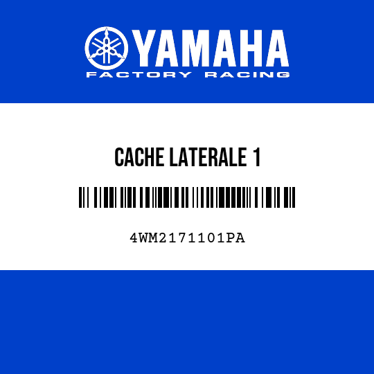 CACHE LATERALE 1