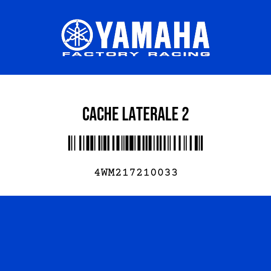 CACHE LATERALE 2