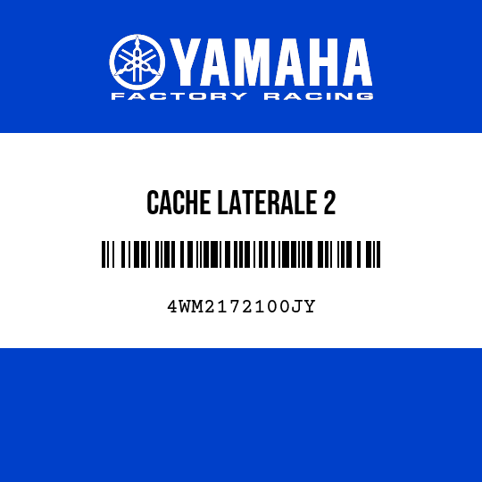 CACHE LATERALE 2
