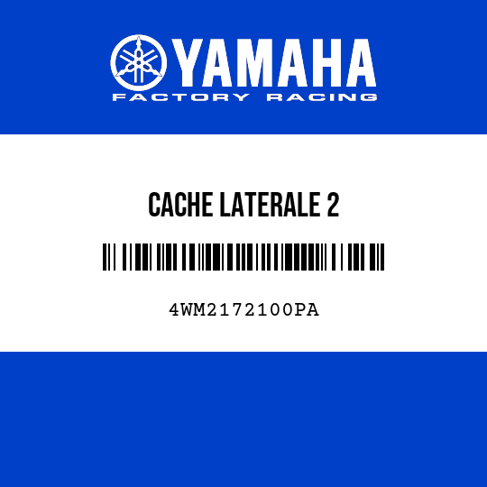 CACHE LATERALE 2
