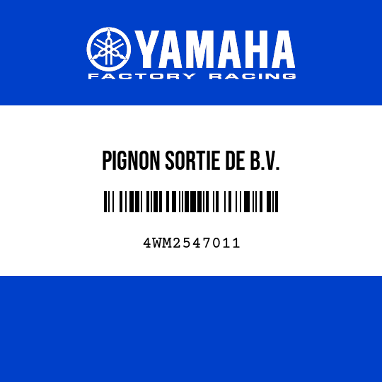 PIGNON SORTIE DE B.V.