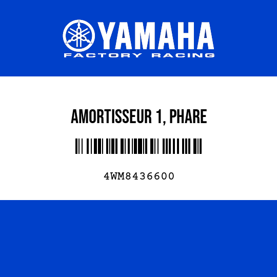 AMORTISSEUR 1, PHARE