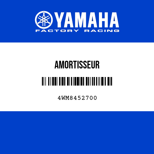 AMORTISSEUR