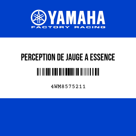 PERCEPTION DE JAUGE A ESSENCE