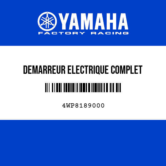 DEMARREUR ELECTRIQUE COMPLET