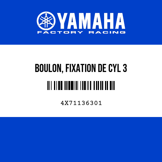 BOULON, FIXATION DE CYL 3