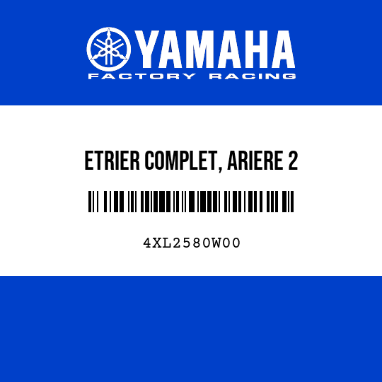 ETRIER COMPLET, ARIERE 2