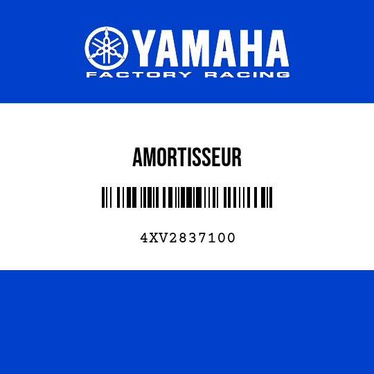 AMORTISSEUR
