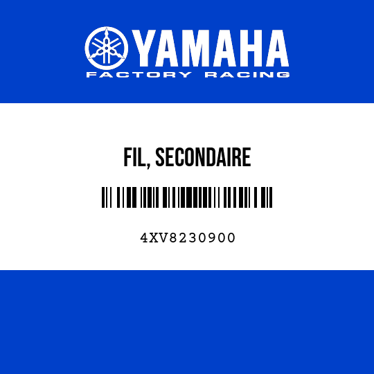 FIL, SECONDAIRE