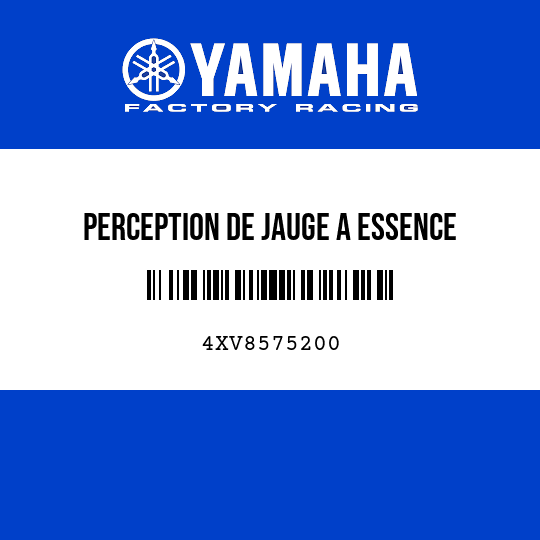 PERCEPTION DE JAUGE A ESSENCE