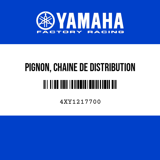 PIGNON, CHAINE DE DISTRIBUTION