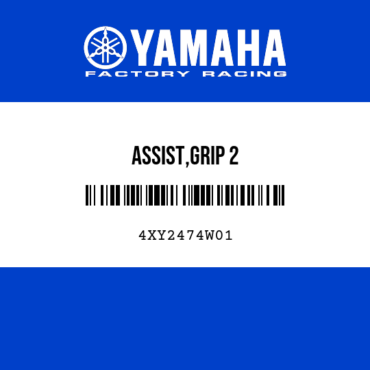 ASSIST,GRIP 2