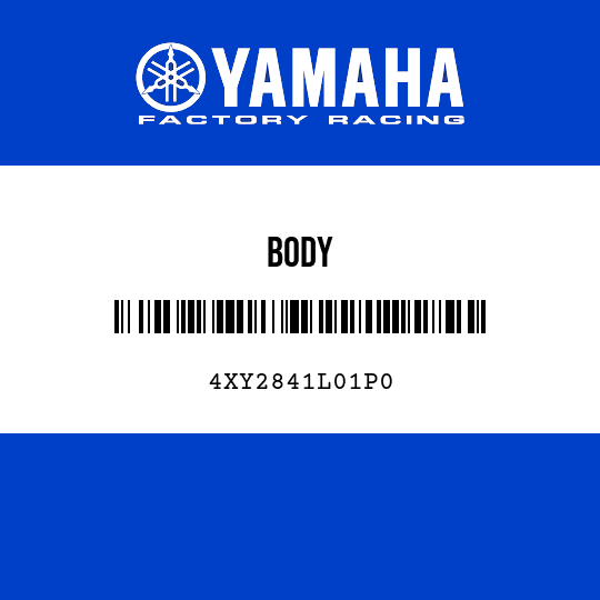 BODY
