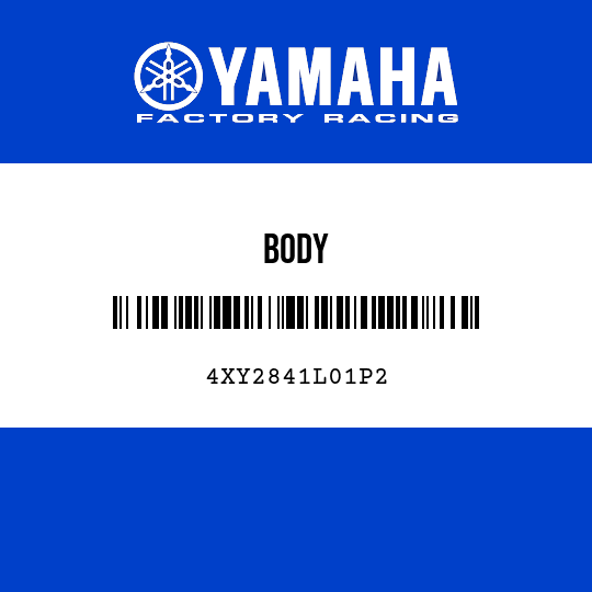 BODY