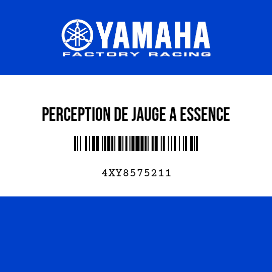 PERCEPTION DE JAUGE A ESSENCE