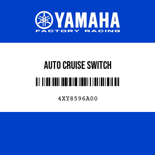 AUTO CRUISE SWITCH