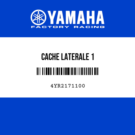 CACHE LATERALE 1