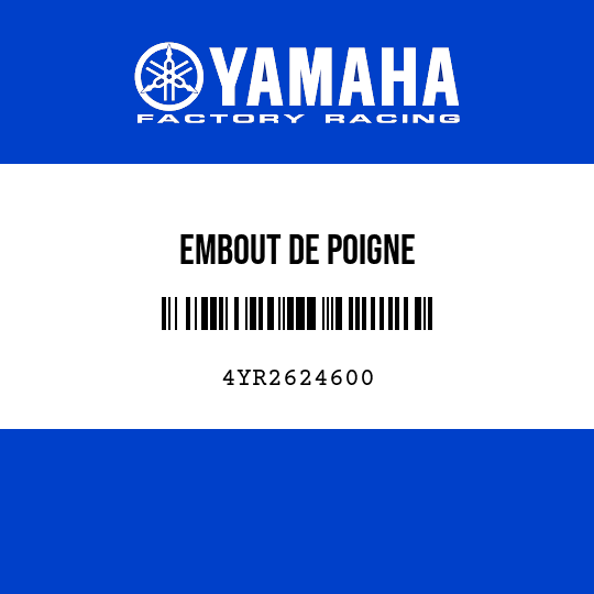 EMBOUT DE POIGNE