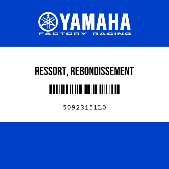 RESSORT, REBONDISSEMENT