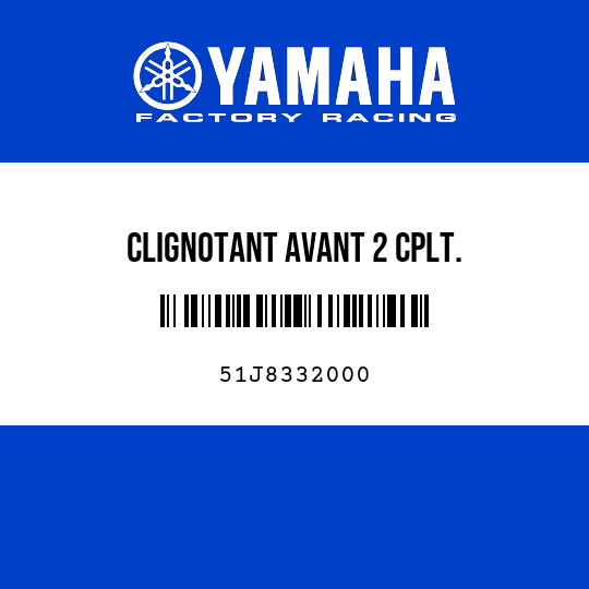 CLIGNOTANT AVANT 2 CPLT.
