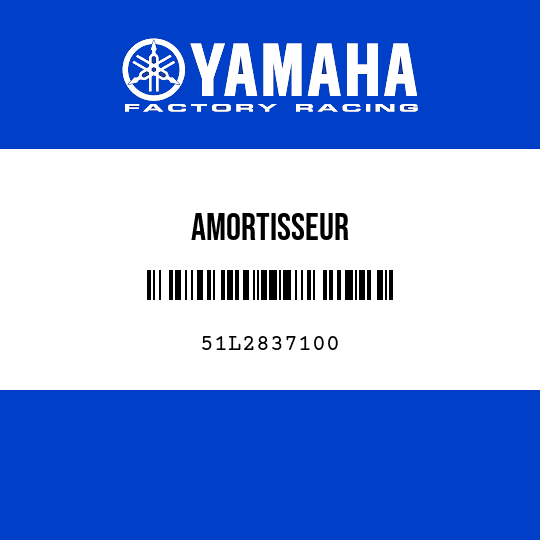 AMORTISSEUR
