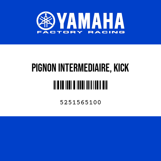 PIGNON INTERMEDIAIRE, KICK