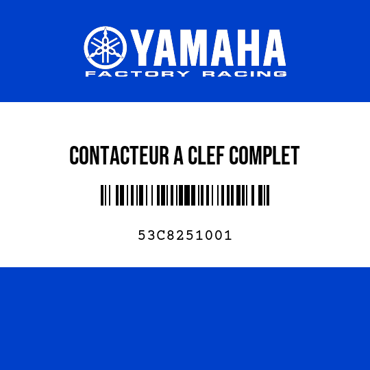 CONTACTEUR A CLEF COMPLET