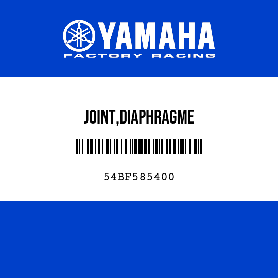 JOINT,DIAPHRAGME