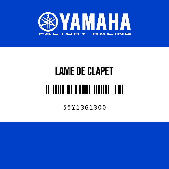 LAME DE CLAPET
