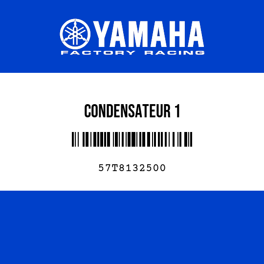CONDENSATEUR 1