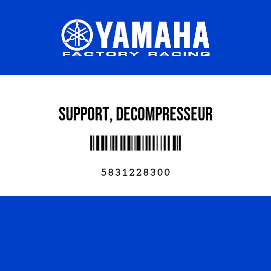 SUPPORT, DECOMPRESSEUR