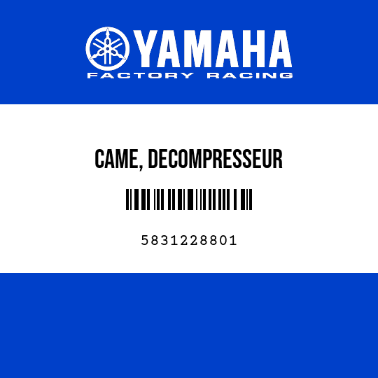 CAME, DECOMPRESSEUR