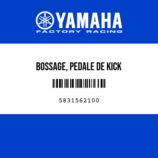 BOSSAGE, PEDALE DE KICK