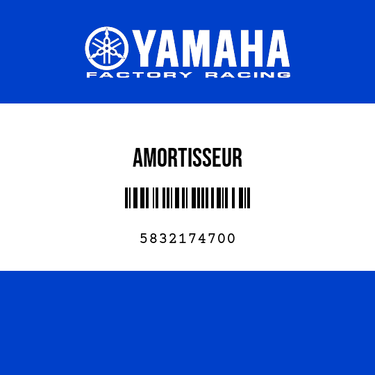 AMORTISSEUR