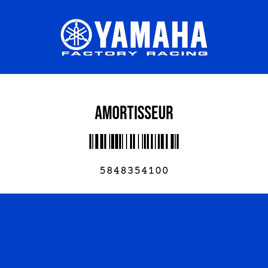 AMORTISSEUR