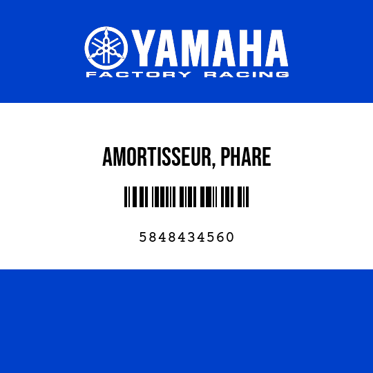 AMORTISSEUR, PHARE