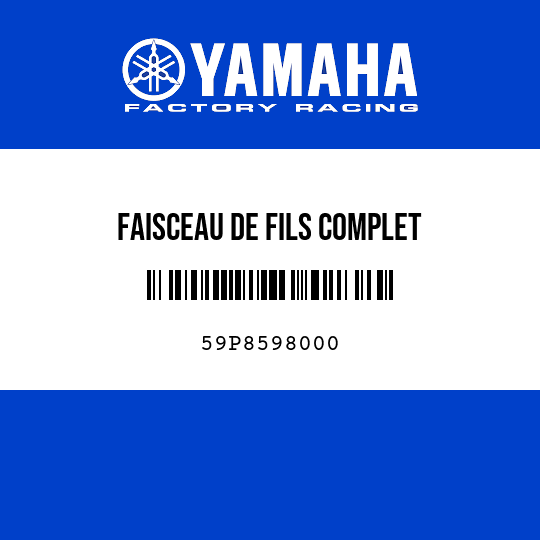 FAISCEAU DE FILS COMPLET