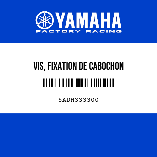 VIS, FIXATION DE CABOCHON