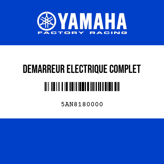 DEMARREUR ELECTRIQUE COMPLET