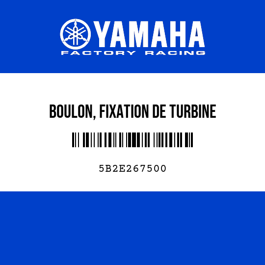 BOULON, FIXATION DE TURBINE