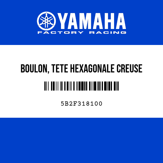 BOULON, TETE HEXAGONALE CREUSE