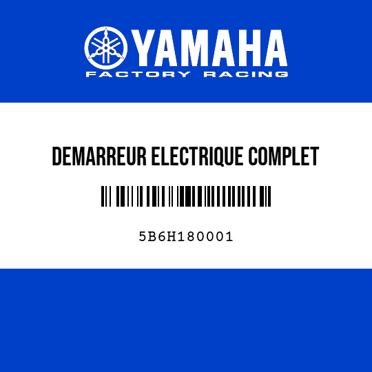 DEMARREUR ELECTRIQUE COMPLET