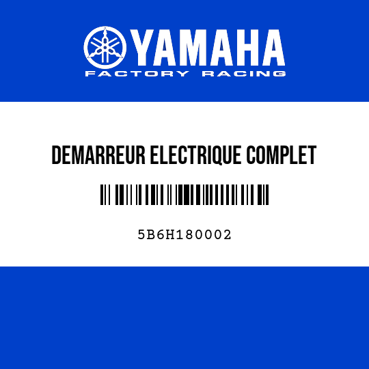 DEMARREUR ELECTRIQUE COMPLET