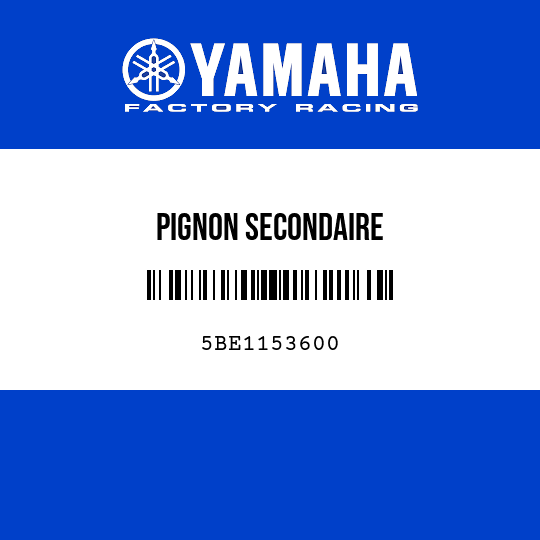 PIGNON SECONDAIRE