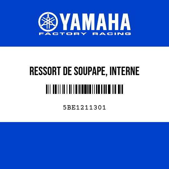 RESSORT DE SOUPAPE, INTERNE