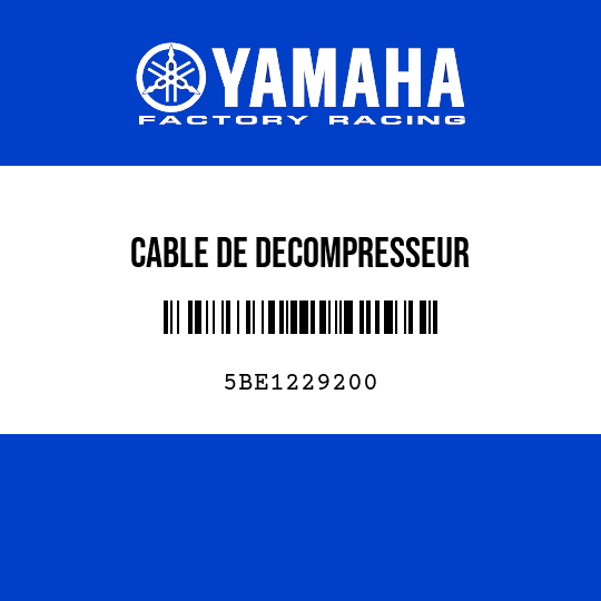 CABLE DE DECOMPRESSEUR