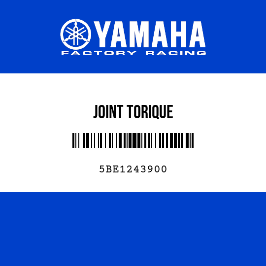JOINT TORIQUE