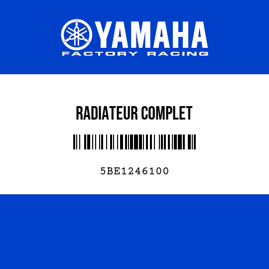RADIATEUR COMPLET