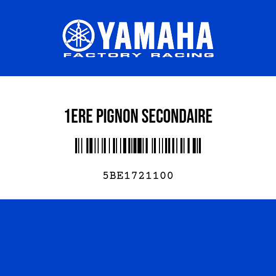 1ERE PIGNON SECONDAIRE