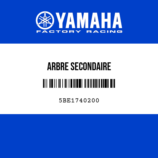 ARBRE SECONDAIRE
